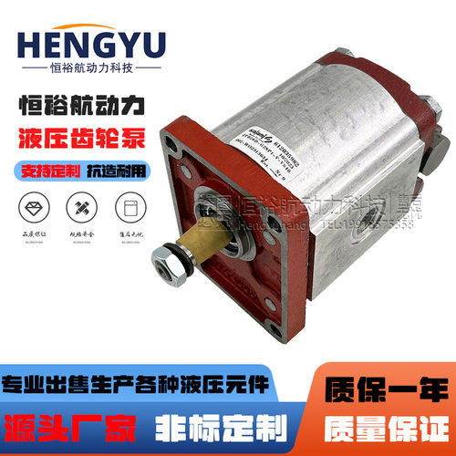 SALAMI齿轮泵2PB26D-G28P1-V-VS40萨拉米液压泵2PB6.2D-G28P1油泵