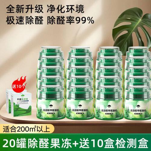 DD除甲醛活性炭包新房家用装修吸除甲醛去异味除味清除剂新车去味