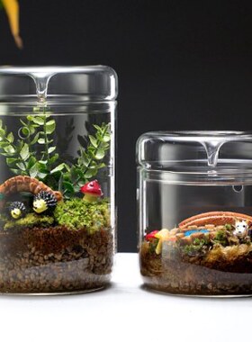 DIY微景观植物苔藓瓶高硼硅玻璃露集杯桌面生态瓶带孔带罩免打理