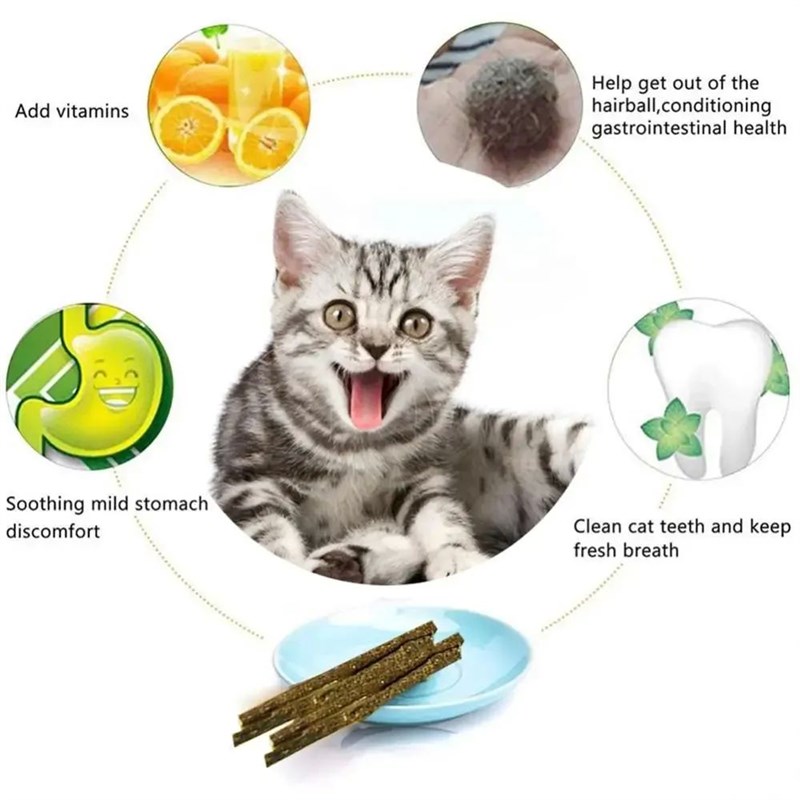 6pcs Ncatural Matatabi Cat Stick Mint Caught Bite Excited Ro
