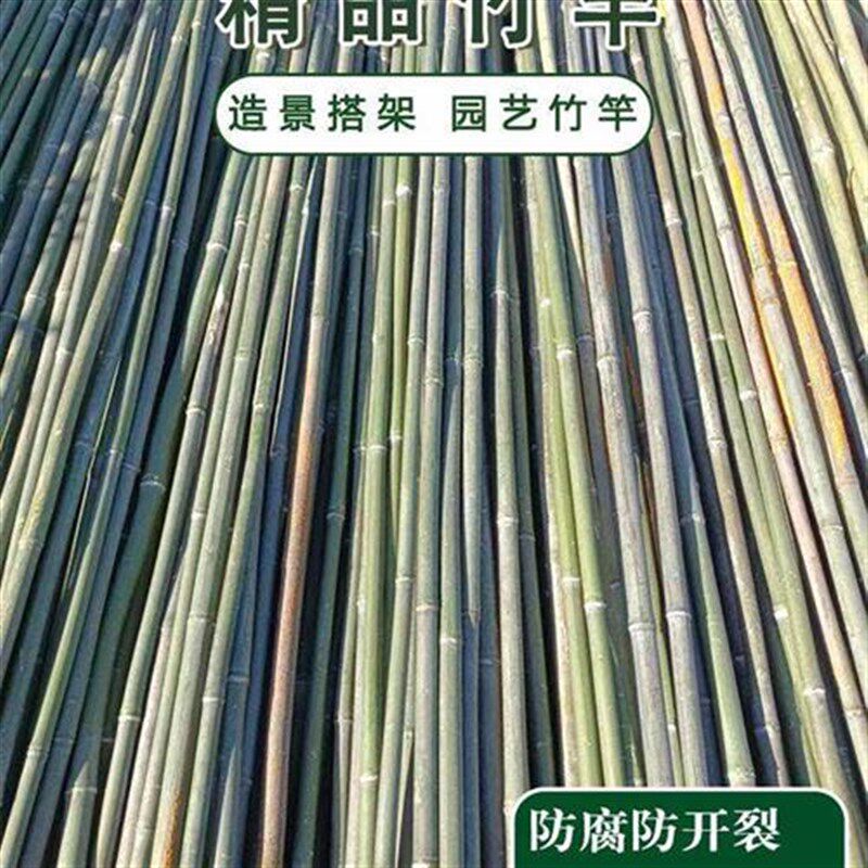 小竹子细竹竿爬藤架竹竿菜园搭架蔬菜黄瓜番茄豆角架杆竹篱笆栅栏