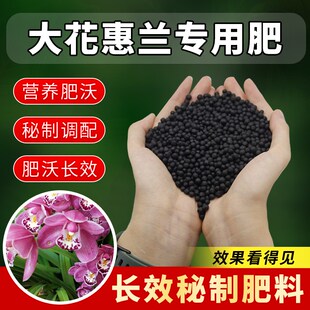 大花惠兰专用肥料盆栽有机u复合化肥惠兰建兰墨寒兰养花催花颗粒