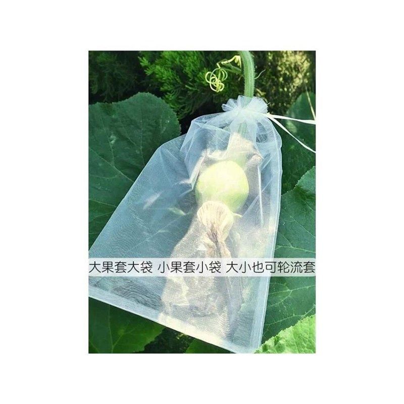 防虫保护袋水果树k上包装袋果实袋套袋专用套果袋包果袋批把桃葡