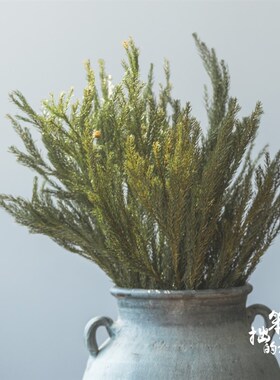 北欧天然绿色干花真花树枝装饰干枝圣诞花环手工制作材料天竺少女