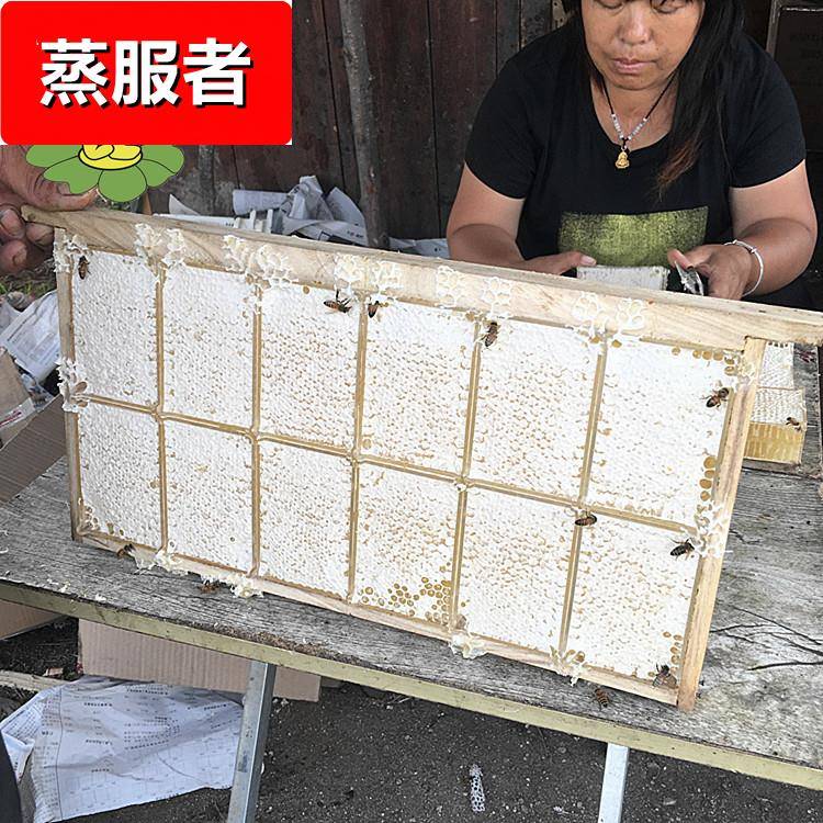 蜂巢蜜300克包装 荆条巢蜜散装土蜂蜜厂家