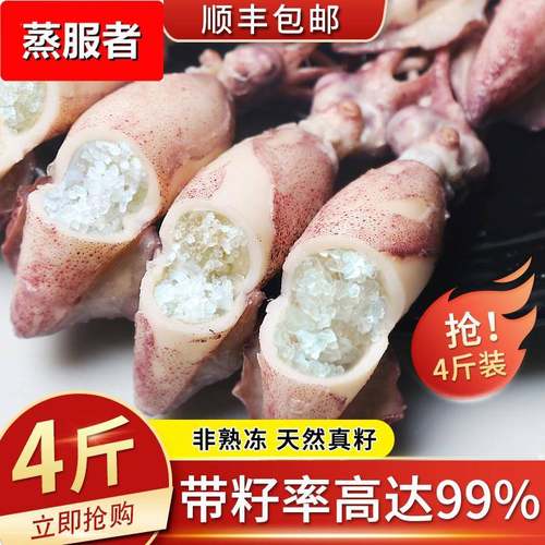 海兔子满籽新鲜活笔管鱼带籽海兔海鲜鲜冻全籽籽乌整箱小鱿鱼水产