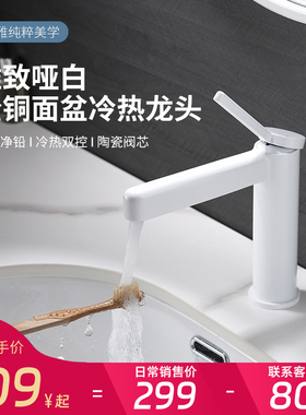 德国哑白色全铜洗手盆洗脸盆水龙头卫生间冷热水面盆台上盆洗脸池