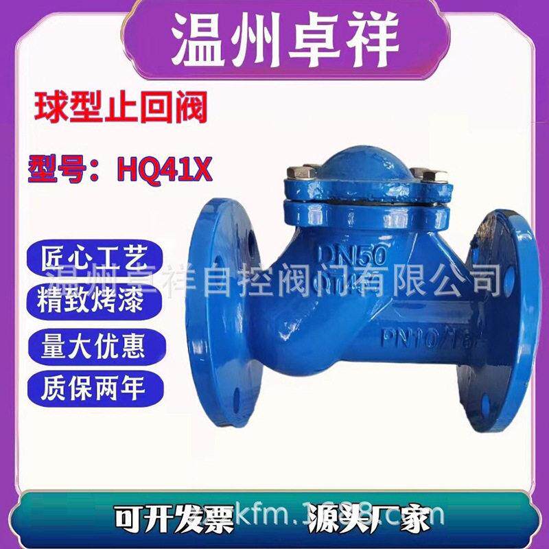 厂家直供球墨铸铁铸钢污水球型止回阀HQ41X低压阀门