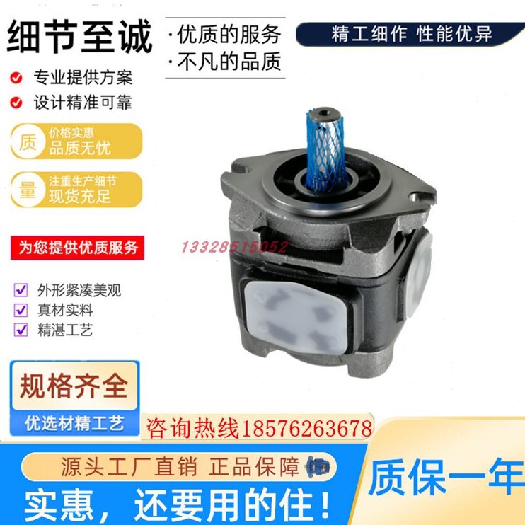 PC/1013/克0/318020//1610-海/V-256特R40-50HG//HG油泵32-齿轮泵