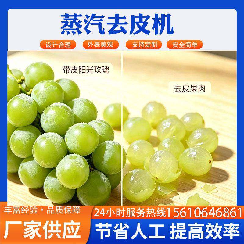 中鼎蒸汽果蔬去皮机 阳光玫瑰香巨峰葡萄青提红提加工流水线