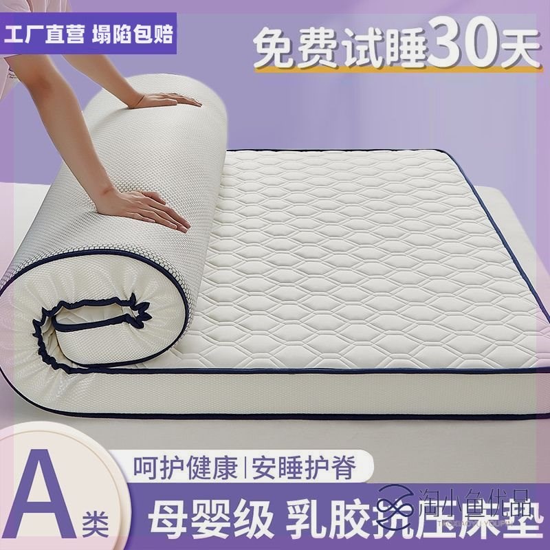 四季款加厚乳胶床垫家用凉感丝褥子夏季打地铺学生宿舍单人海绵垫