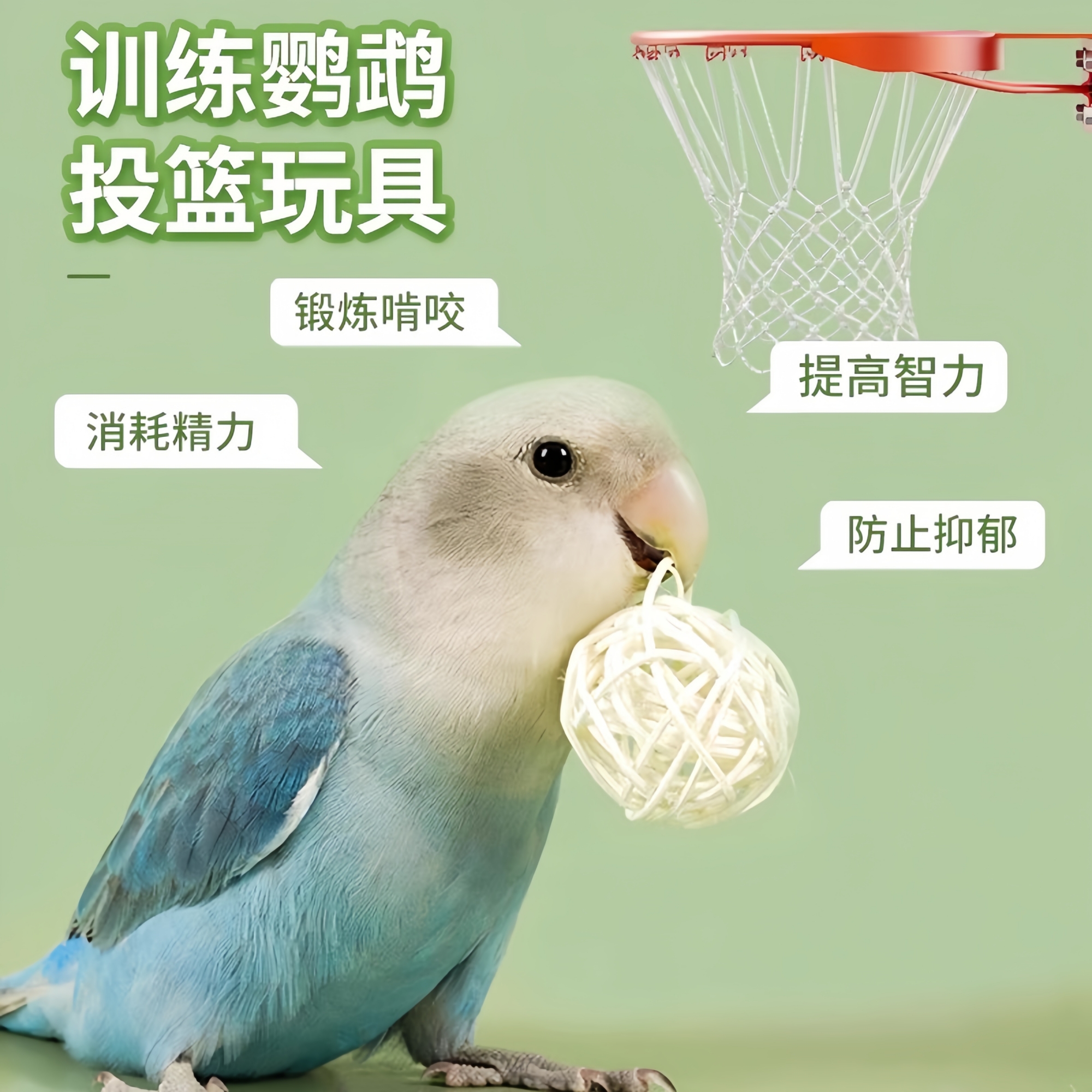 鹦鹉藤球啃咬玩具觅食训练