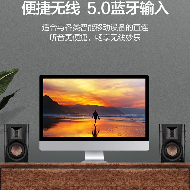 惠威D100无线蓝牙家用多媒体有源电视台式电脑音响游戏数字音箱