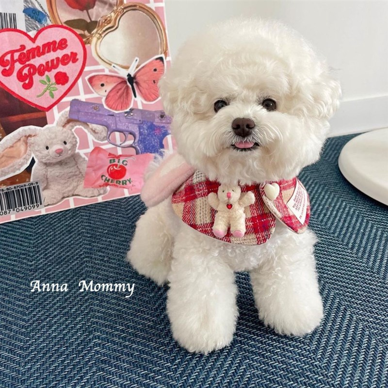 猫咪围脖可爱围嘴格纹兔子披风狗狗口水巾宠物猫狗装饰围兜小型犬