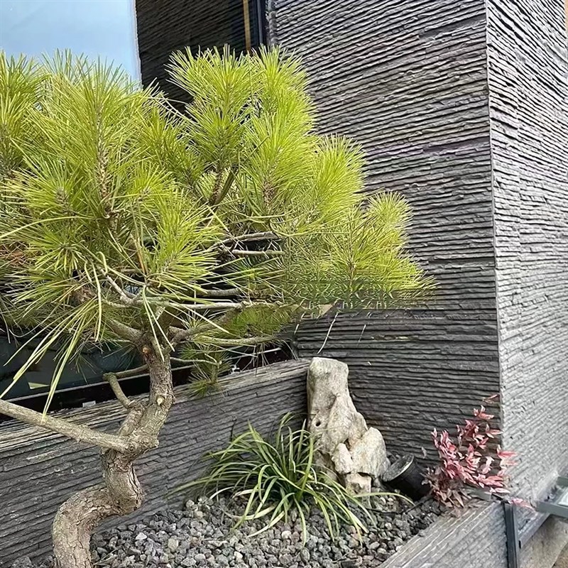 软瓷流水石文化砖罗马洞石背景墙饰面板室内户外墙可弯曲柔性石材