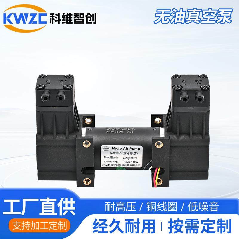 51-02PM2美容仪双头有刷小型负压泵24V无油膜片静音吸气泵,五金/工具,其他类型泵,淘宝优惠券,粉丝福利购,淘宝优惠卷