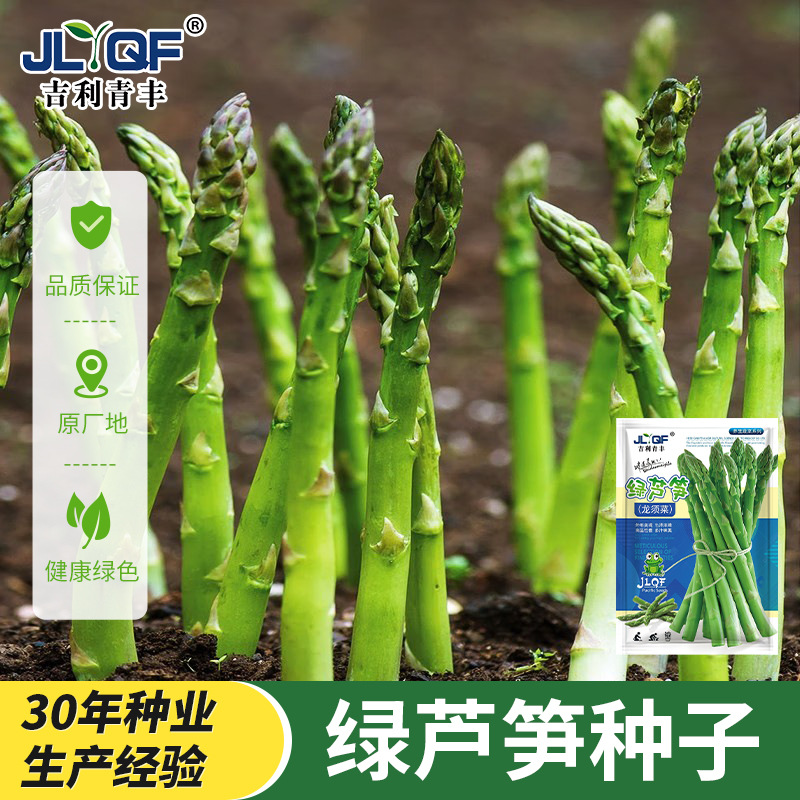 四季芦笋种籽盆栽芦笋种子芦笋根苗新鲜芦笋种植庭院蔬菜种孑大全