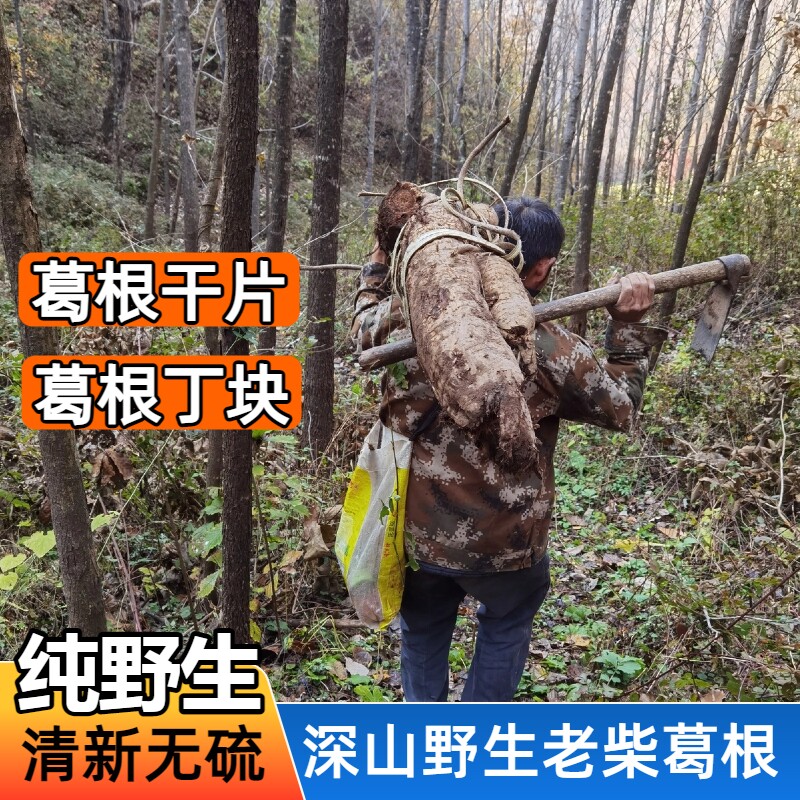 野生柴葛根50年以上新鲜柴葛根茶干片葛根丁中药材解酒护肝