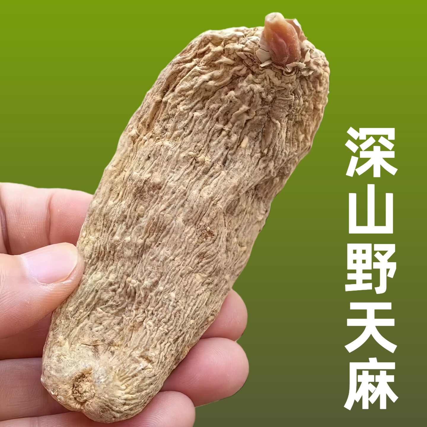 正宗冬天麻干货天麻片非云南产不蒸不熏直接生晒煲汤头晕中药材