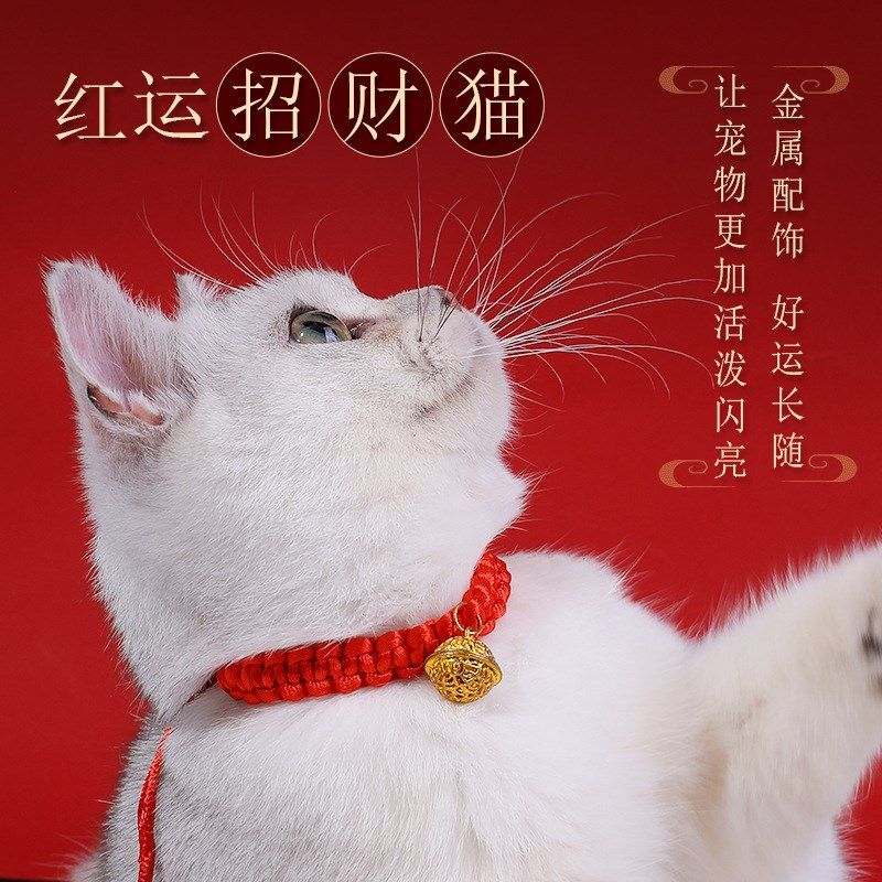 猫咪项圈狗狗项链脖子饰品宠物围脖手工红绳编织小猫装饰铃铛脖圈
