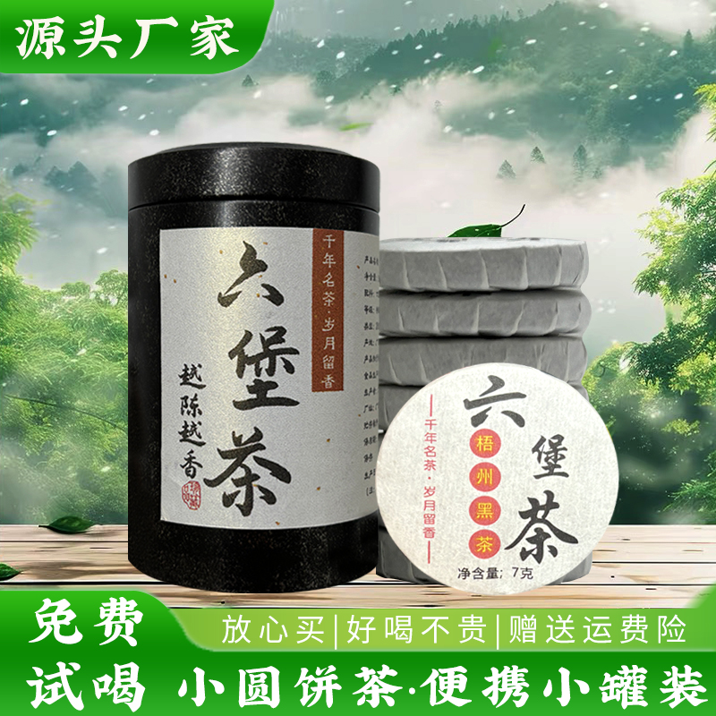 广西梧州六堡茶小圆饼老茶婆小罐
