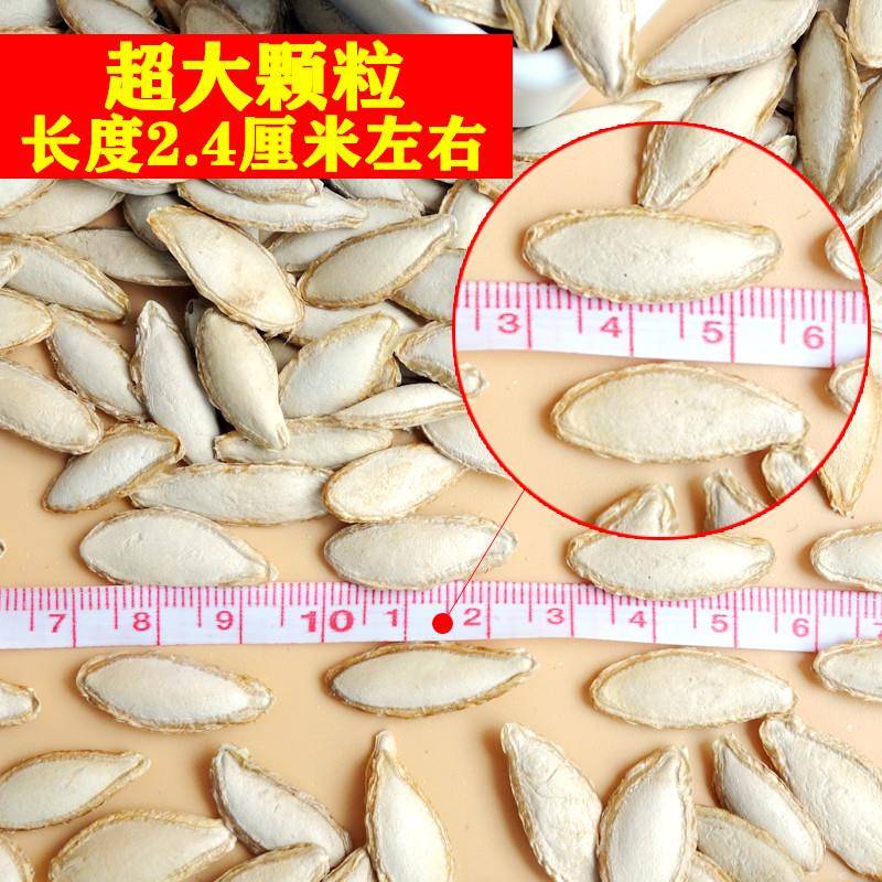 特大长粒香南瓜子原味炒熟盐焗南瓜籽大颗粒袋装炒货土毛边南瓜子