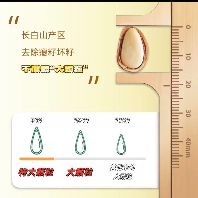松子2025新货东北特产大颗粒薄皮大开口坚果干果袋装净重