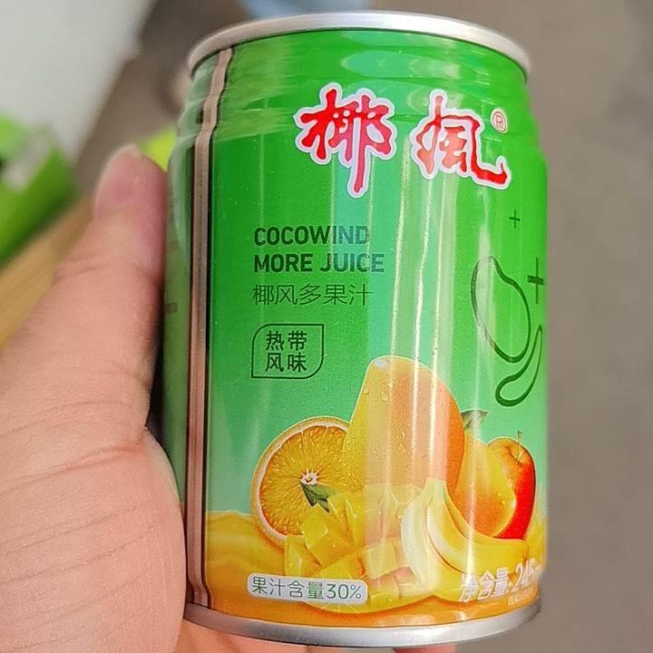 椰风挡不住芒果汁250ml*24罐/6/8罐椰风芒果汁老款椰风芒果汁饮料