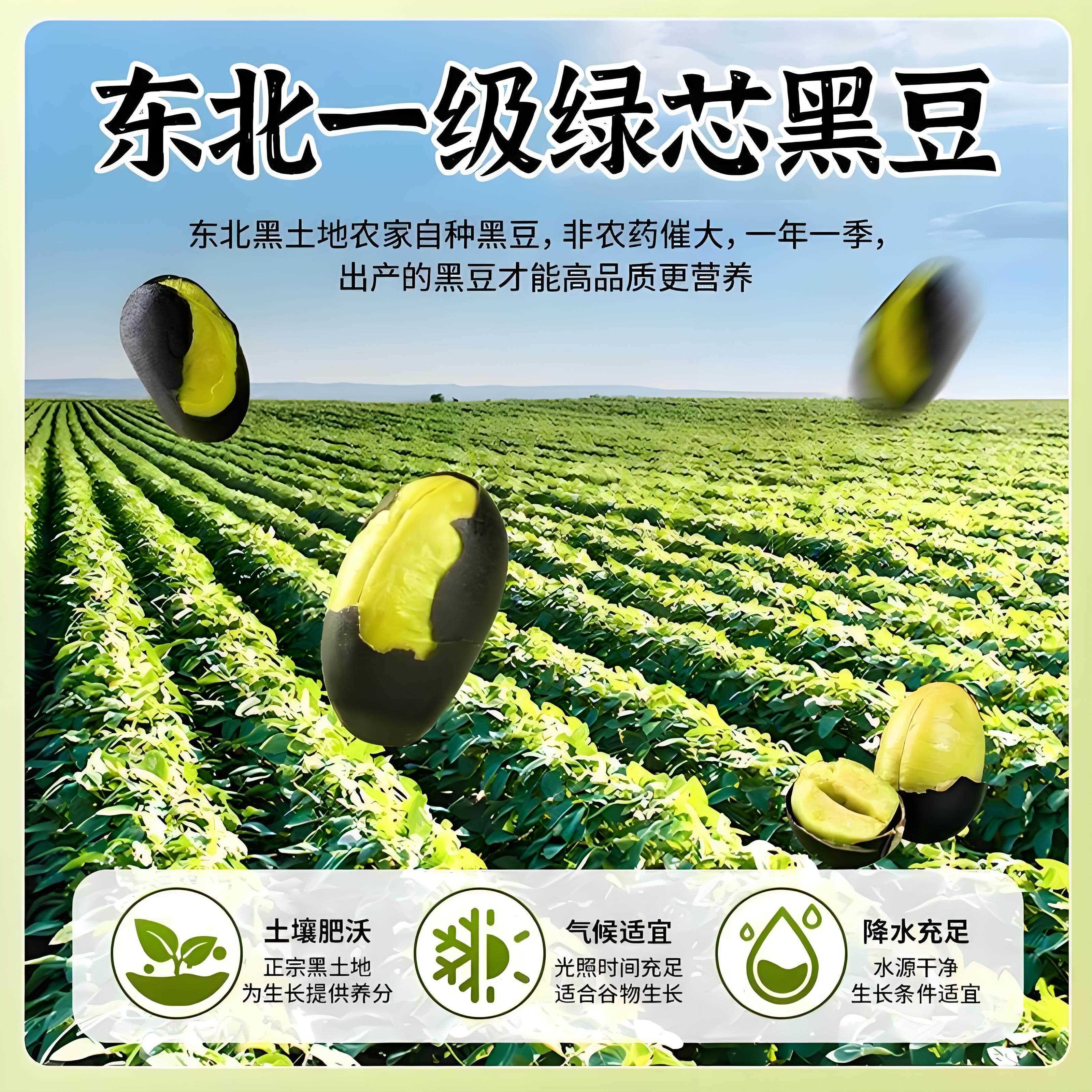 盐炒黑豆熟即食原味非转基因农家正宗休闲官方旗舰店补零食肾新货