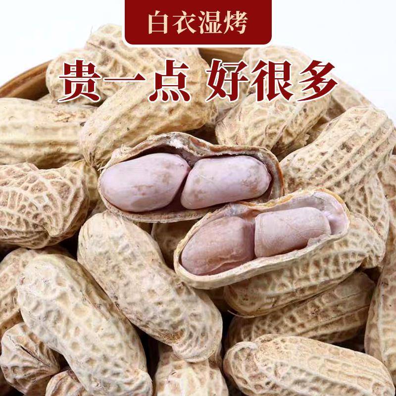 新龙岩湿烤花生盐水煮白晒原味咸干带壳坚果特产熟零食下酒菜5斤