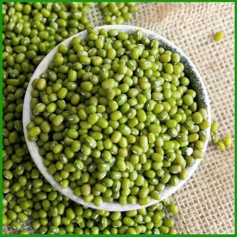 【2025年】5斤新货小绿豆净重绿豆粥笨绿豆新鲜绿豆汤可发豆芽