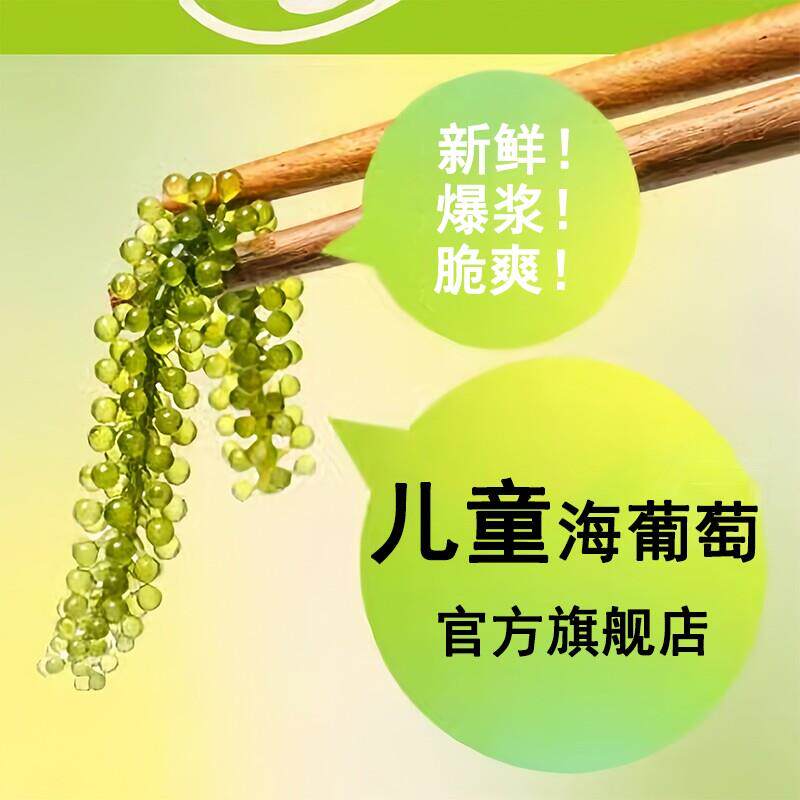 儿童海葡萄绿色鱼子酱即食