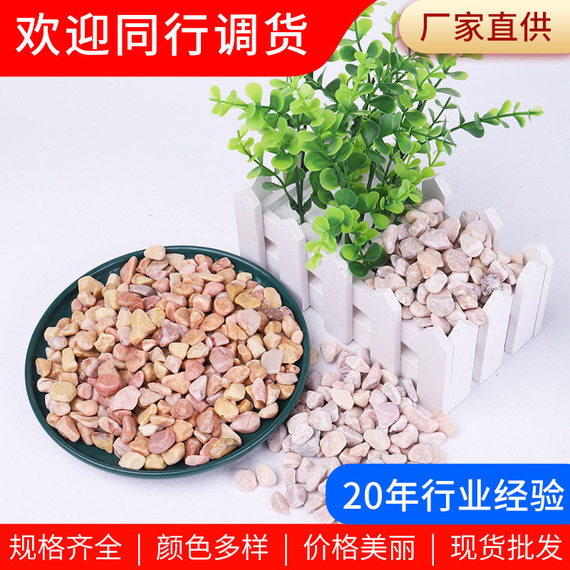 红黄水洗石多肉盆栽铺面小石子