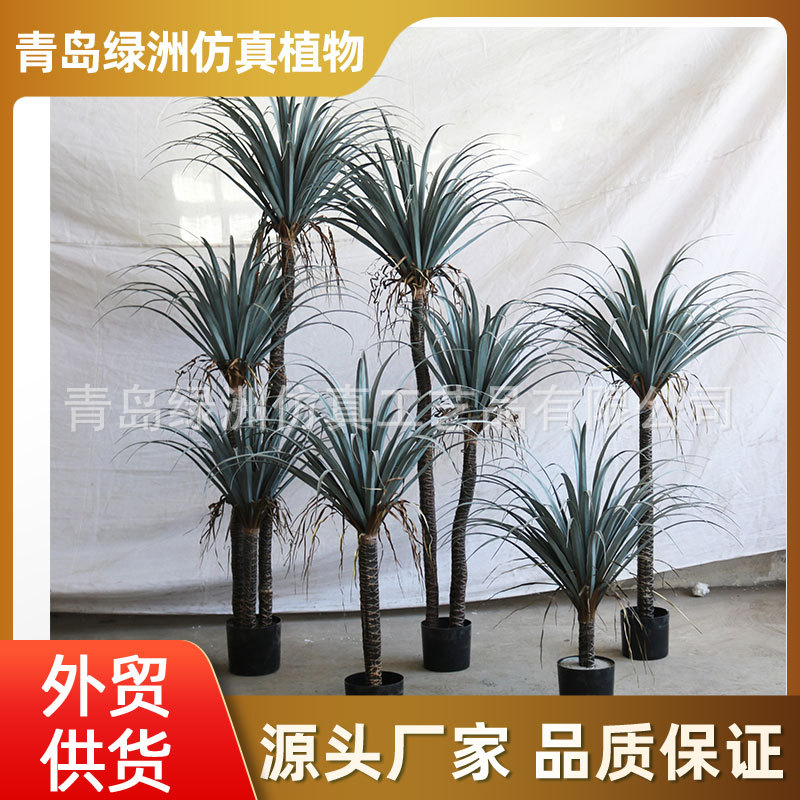 高仿真绿植丝兰龙血树 千年木巴西铁假树大型绿植盆栽批发龙血树