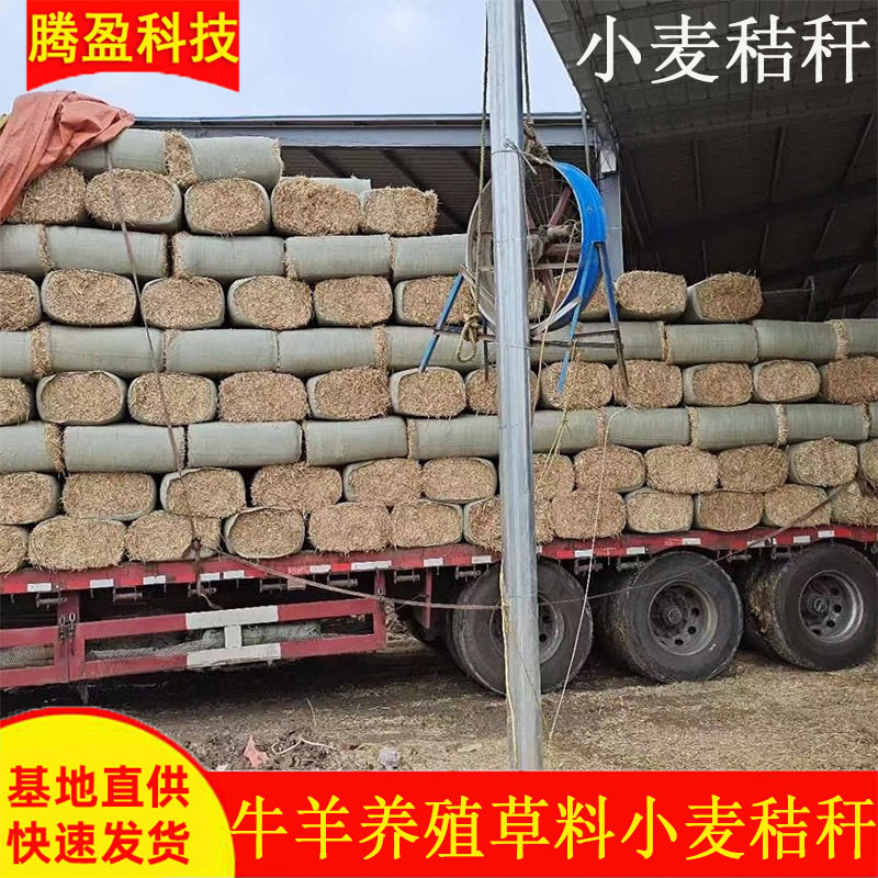 小麦秸秆批发揉丝秸秆草料牛马羊草料压块秸秆无土无膜无霉变