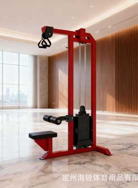 高位下拉训练器高拉机多功能背肌训练SELECTORIZED LAT PULLDOWN