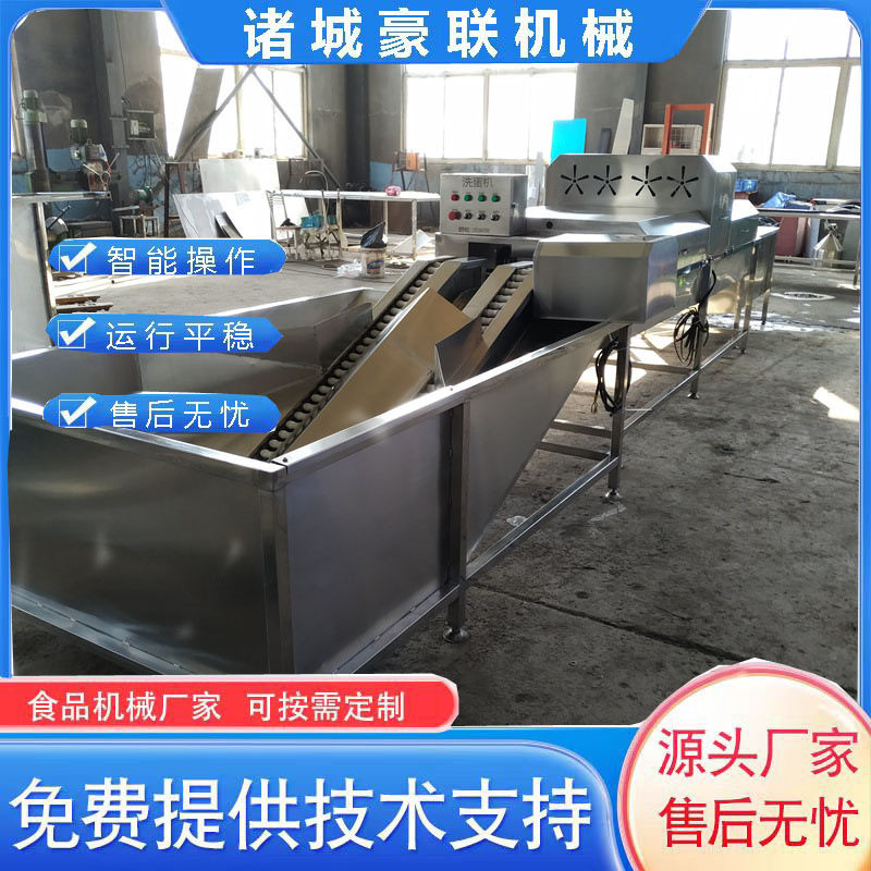 商用洗蛋机双排洗蛋机全自动清洗支持试机生产厂家