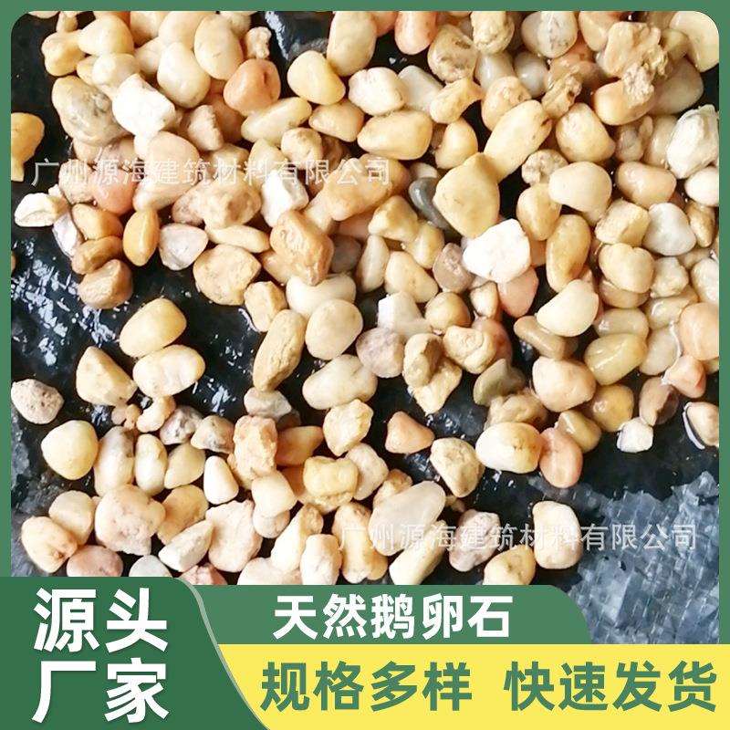 地暖专用回填豆地暖石子天然鹅卵石污水处理滤料垫层石子