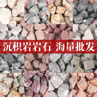 天然沉积岩标本水晶原石矿物三大岩石地质科普矿石碎石岩石摆件