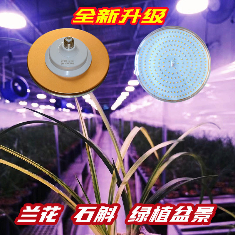 合鸣50W兰花兰草植物补光灯/绿植花卉生长灯大棚补光灯全光谱其他