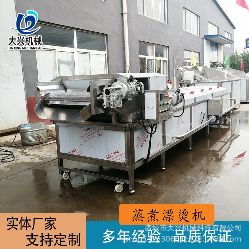 撒尿丸子猪肉丸蒸煮漂烫线 大型豆角芒果漂烫机 咸菜低温灭菌设备