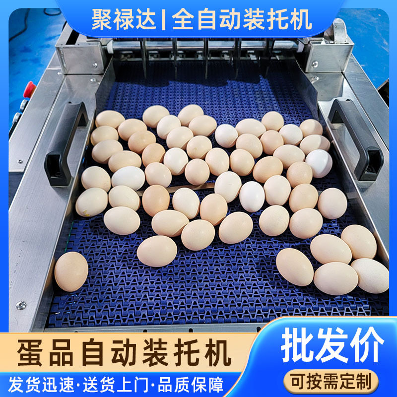 全自动鸡蛋装托机鸭蛋自动装蛋托设备蛋品分选装托包装设备