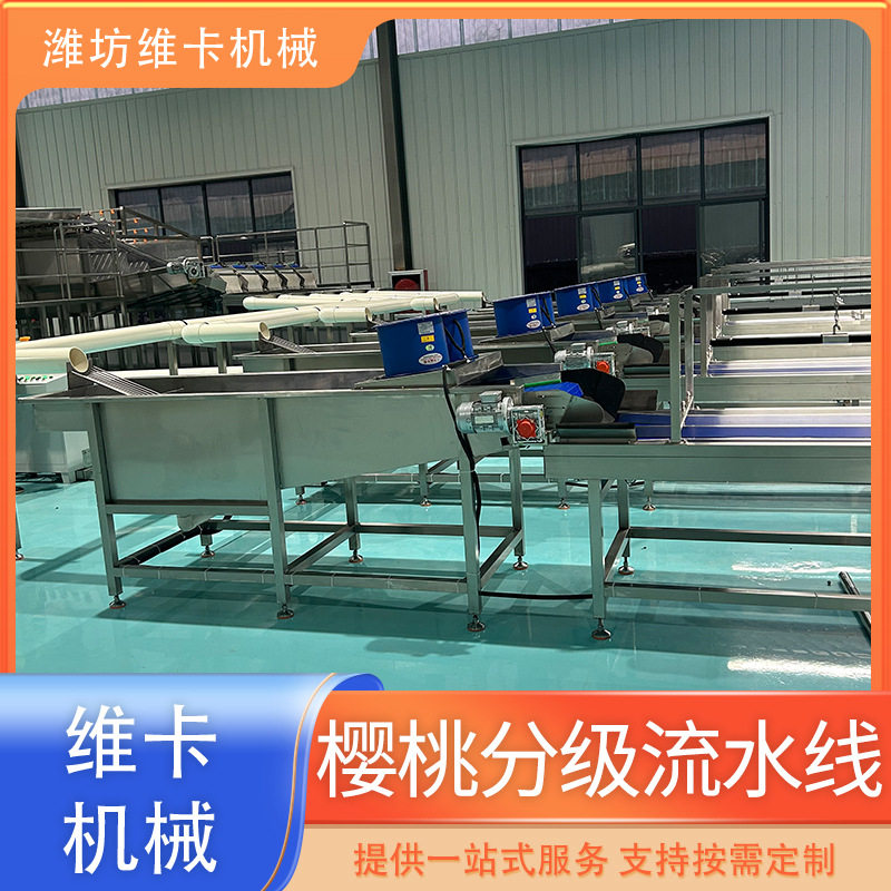 樱桃车厘子选果机 圣女果山楂分选机 滚杠式大型清洗分选设备