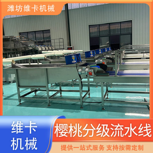 樱桃车厘子选果机 圣女果山楂分选机 滚杠式大型清洗分选设备