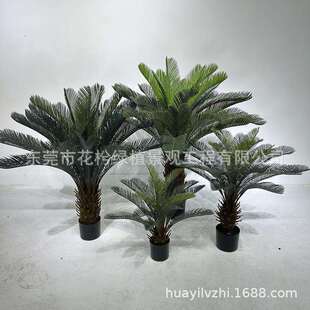热销仿真铁树室内外塑料苏铁树仿真盆栽摆件落地假树绿植盆景造景