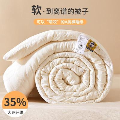 原棉A类冬被二合一双胎拉链子母被李官奇35大豆纤维被纯棉春秋被
