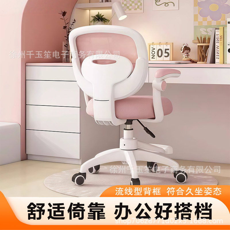 家用儿童学习椅子小学生写字座椅书桌可升降写作业专用椅久坐舒服
