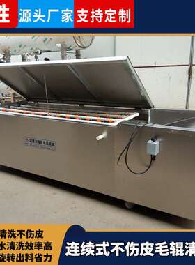 隆胜生姜毛辊清洗机 根茎类蔬菜毛刷式清洗机 鲜姜不伤皮去泥机器