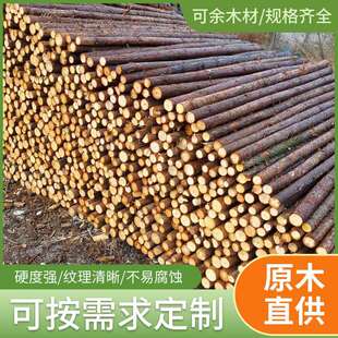 杉木桩河道打桩木方木原木防汛防洪木桩精品檩条园林绿化支撑杆