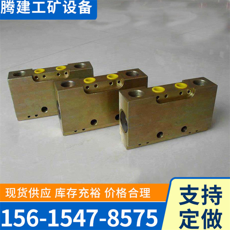 FDS125/40双向锁控制支管路系统煤矿液压支架DN双向锁液压支架配